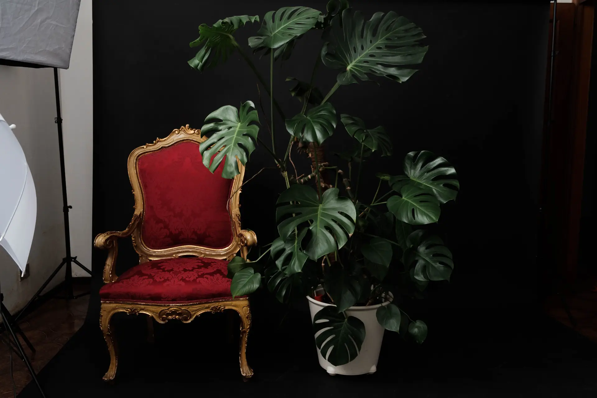 Set Design